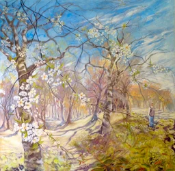 Walking Through the Blossom